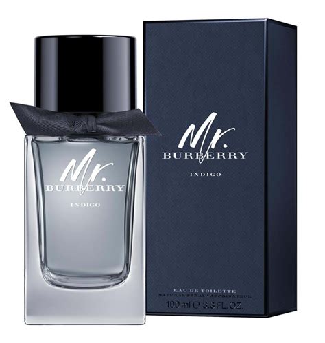 burberry parfum herren indigo|mr Burberry indigo 100ml.